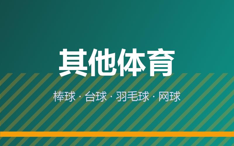 其他体育